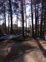 Пожар на Кремешках - 2.jpg